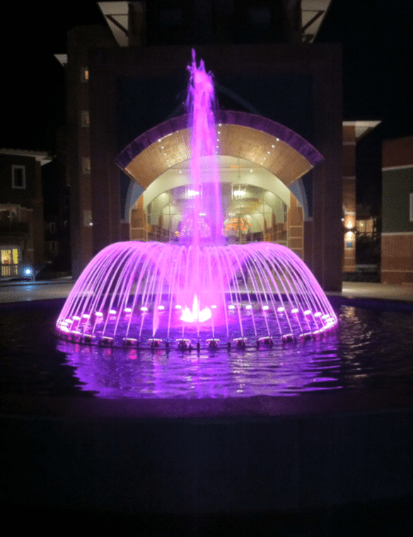 Edora Havuz, Fıskiye Sistemleri, Bubble Wall Fıskiye Sistemleri, Atlayan Su Sistemleri, Su Jeti Kubbe Fıskiye Sistemleri, Paslanmaz Pompa Motor Grupları, Müzikli Danslı Fıskiye Sistemleri, Misinalı Su Perdesi, Su Çanı ve Zambak Fıskiye Sistemleri, Nozullar, Otomasyon ve Yazılım, Kuru Havuz Fıskiye Sistemleri, Volkan Fıskiye Sistemleri, Dubalı Gölet Fıskiye Sistemleri, Su Altı Armatürleri, Köpük Fıskiye Sistemleri, Küre Fıskiye Sistemleri, Havuz Kenar Ekipmanları Merdivenler, Havuz Lambaları, Havuz Pompaları, Havuz Filtreleri, Havuz İçi Ekipmanları, Havuz Kimyasalları, Temizlik Ekipmanları Robotlar, Isıtma Ekipmanları ve Nem Alma Cihazları, Su Oyunları, Havuz Örtüleri, Vanalar ve PVC Ek Parçaları, Olimpik Havuz Aksesuarlar, Masaj Havuzu ve Sauna Malzemeleri