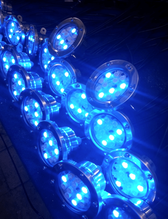 Edora Havuz, Fıskiye Sistemleri, Bubble Wall Fıskiye Sistemleri, Atlayan Su Sistemleri, Su Jeti Kubbe Fıskiye Sistemleri, Paslanmaz Pompa Motor Grupları, Müzikli Danslı Fıskiye Sistemleri, Misinalı Su Perdesi, Su Çanı ve Zambak Fıskiye Sistemleri, Nozullar, Otomasyon ve Yazılım, Kuru Havuz Fıskiye Sistemleri, Volkan Fıskiye Sistemleri, Dubalı Gölet Fıskiye Sistemleri, Su Altı Armatürleri, Köpük Fıskiye Sistemleri, Küre Fıskiye Sistemleri, Havuz Kenar Ekipmanları Merdivenler, Havuz Lambaları, Havuz Pompaları, Havuz Filtreleri, Havuz İçi Ekipmanları, Havuz Kimyasalları, Temizlik Ekipmanları Robotlar, Isıtma Ekipmanları ve Nem Alma Cihazları, Su Oyunları, Havuz Örtüleri, Vanalar ve PVC Ek Parçaları, Olimpik Havuz Aksesuarlar, Masaj Havuzu ve Sauna Malzemeleri